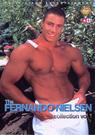 <数量限定>The FERNANDO NIELSEN Collection vol.1