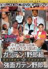 DVD Golden Couple ガッテン!野郎組+強面ガテン野郎