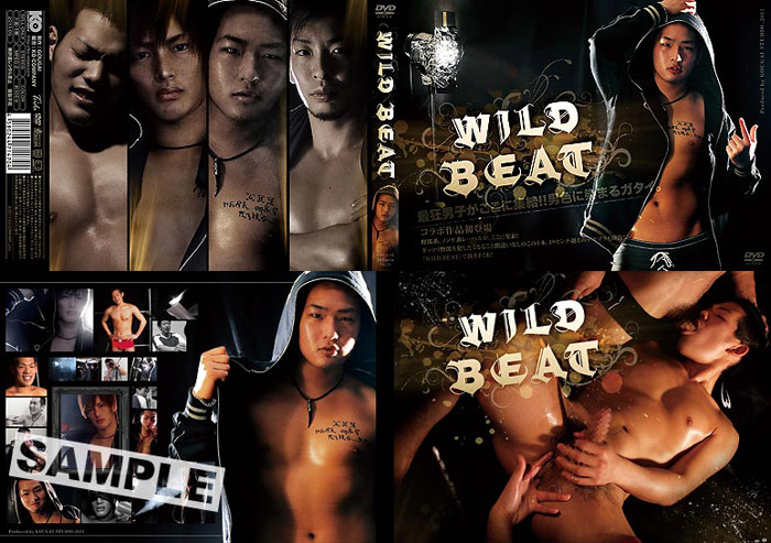 WILD BEAT(+写真集付き)